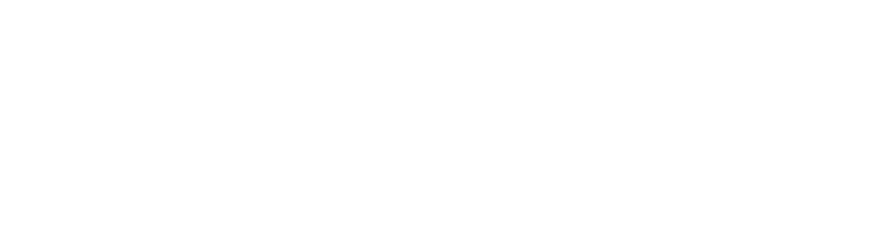 Promisia Connect